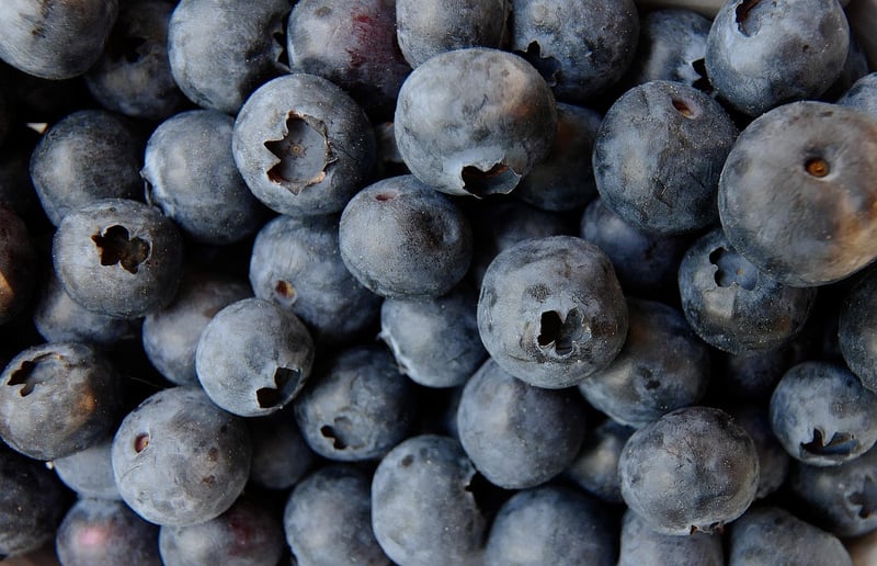 Neptune Blueberry Delight